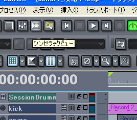左上の【シンセラックビュー】アイコンをクリックします.